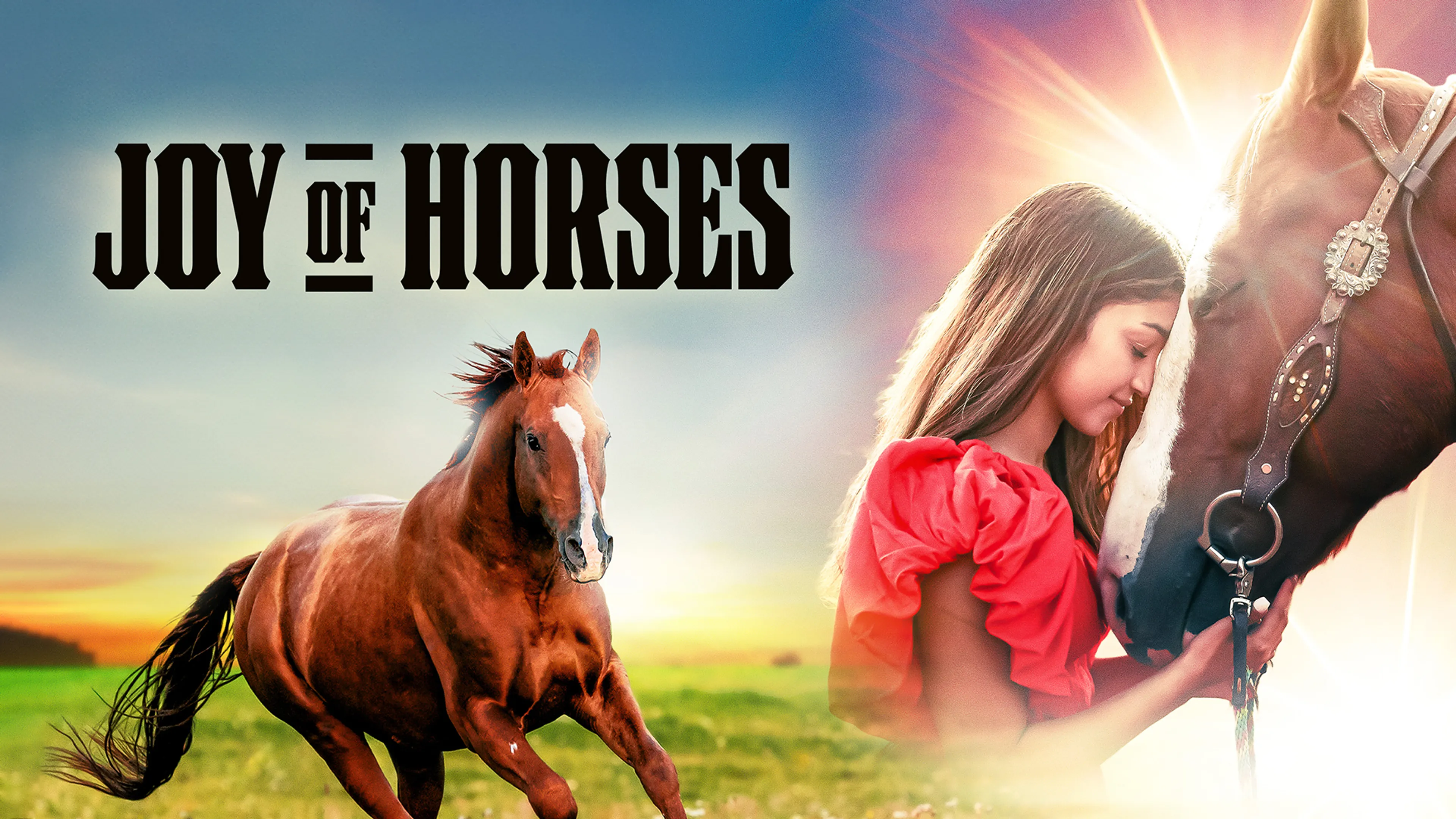 Joy of Horses poster